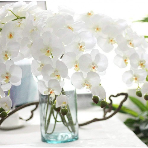 Meiliy 1 Piece Artificial Butterfly Orchid Flower Artificial Flower Plant for Home Decoration White