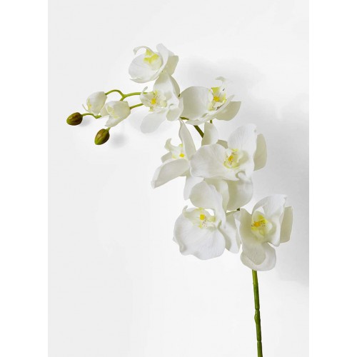 Meiliy 1 Piece Artificial Butterfly Orchid Flower Artificial Flower Plant for Home Decoration White