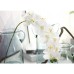 Meiliy 2pcs 11 Heads White Artificial Phalaenopsis Flower Real Touch Butterfly Orchid Flower Latex Orchids for Home Decoration Wedding Centerpieces Decorative Artificial Flowers (with no vase)