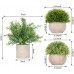  Meiliy Realistic Fakes Plants Rosemary Plant Mini Potted Artificial Plants in Gray Pot for Bathroom Home House Decor(Set of 4)