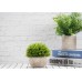  Meiliy Realistic Fakes Plants Rosemary Plant Mini Potted Artificial Plants in Gray Pot for Bathroom Home House Decor(Set of 4)