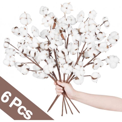 natural cotton stem dry flower artificial cotton branch home decoration  vase filler wedding table centerpiece